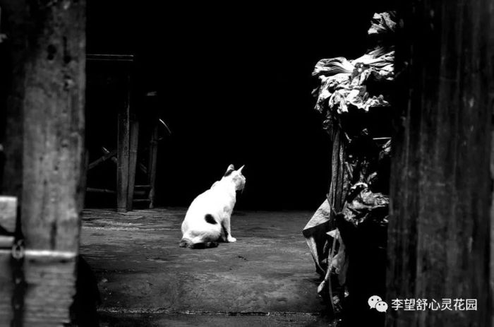 自卑.jpg 自卑.jpg
